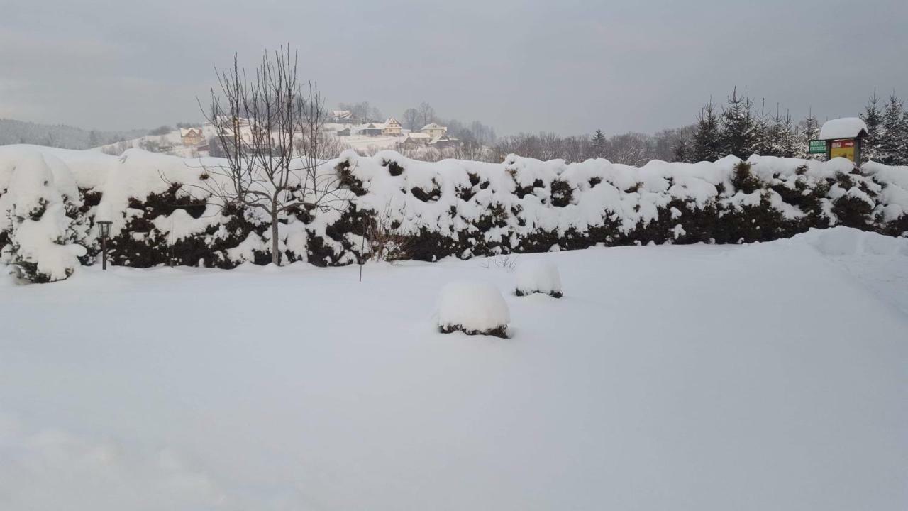 Stas -przy Szkole Nr 3 W Skawie